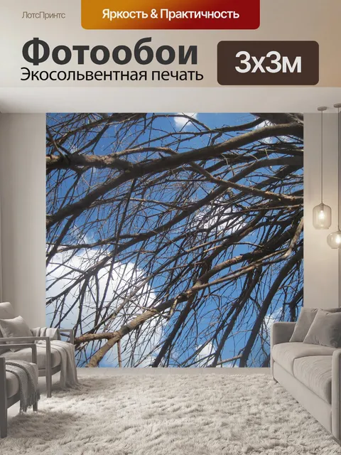 Фотообои сухие ветки