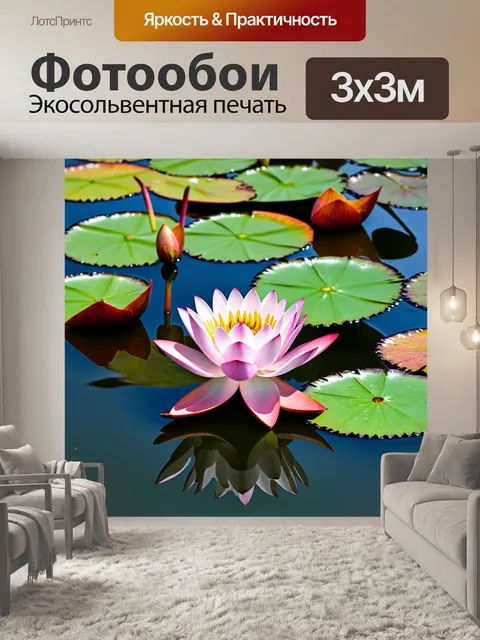 Фотообои цветы лотоса на спокойной воде