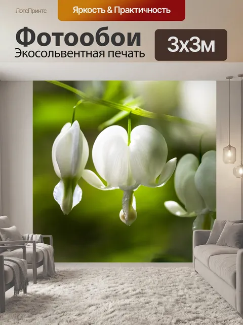 Фотообои Цветы