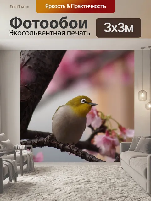Фотообои Белый глаз