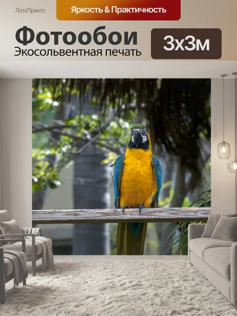 Фотообои Голубой попугай