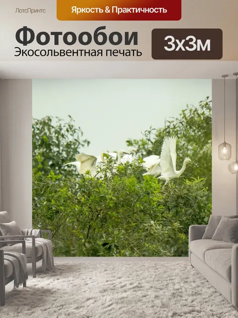 Фотообои Аист