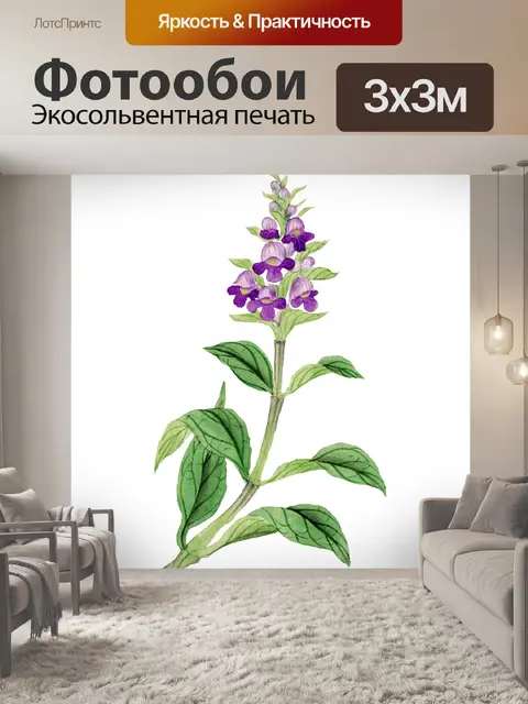 Фотообои Клипарт цветок старинное искусство