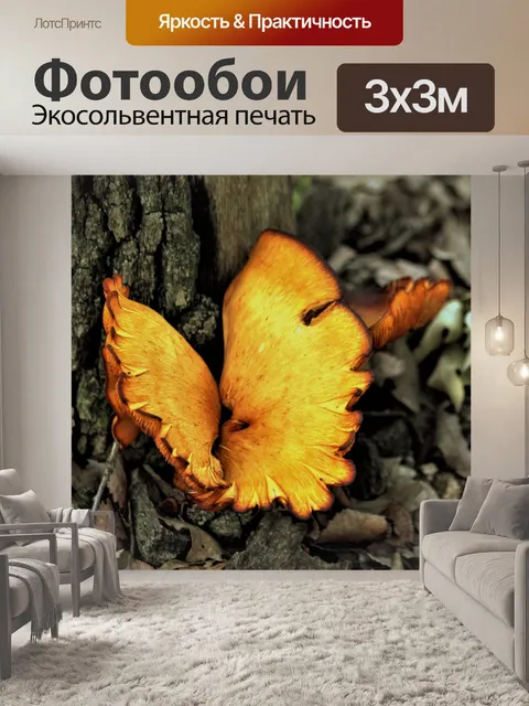 Фотообои Золотой грибной бабочки