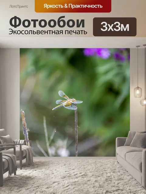Фотообои стрекоза