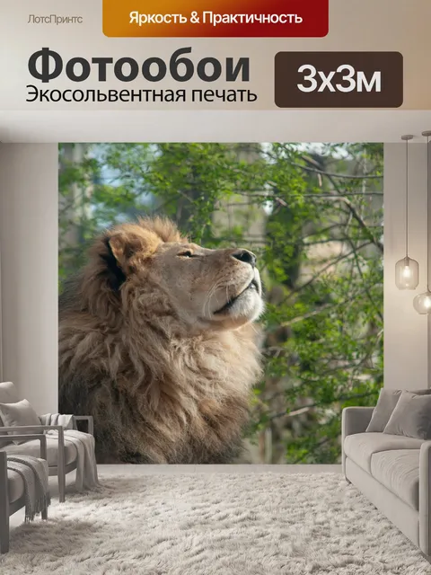 Фотообои Лев