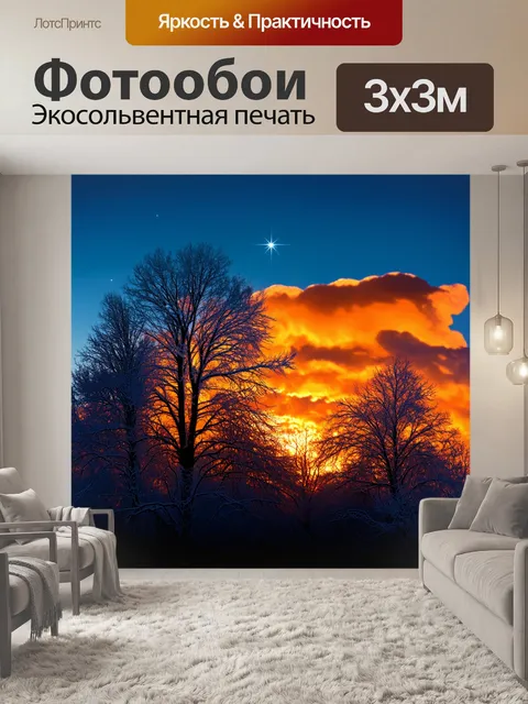 Фотообои силуэты деревьев, покрытых инеем, на фоне зимнего огненного заката с ярким небом