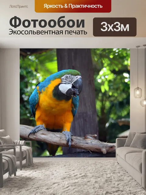 Фотообои желтый и синий ара попугай 4