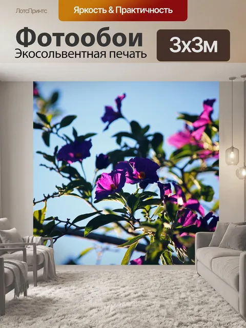 Фотообои фиолетовые цветы куста картофеля