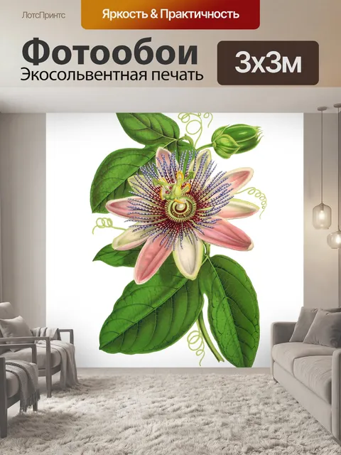 Фотообои Цветочное розовое винтажное искусство
