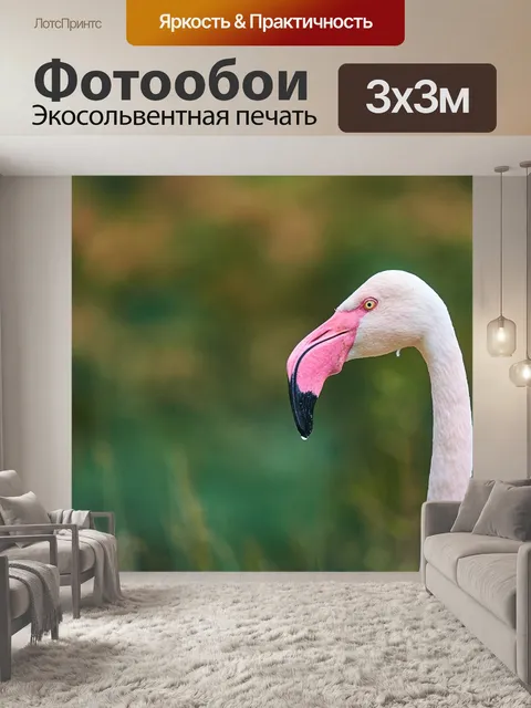 Фотообои Фламинго