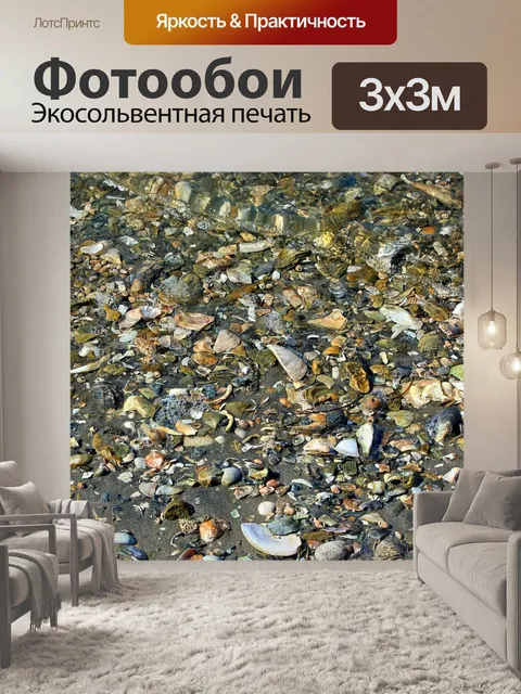Фотообои Ракушки