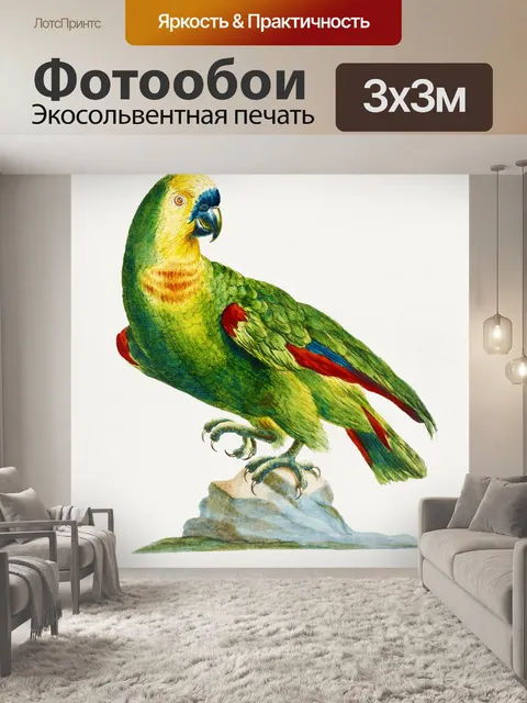 Фотообои Попугай птица старинное искусство