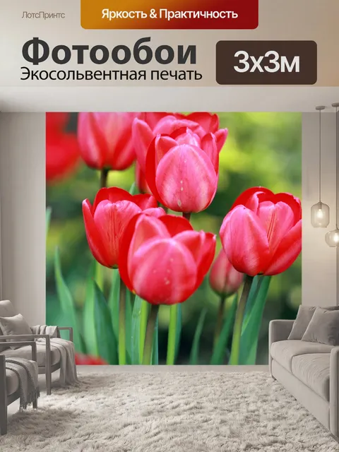 Фотообои Красные тюльпаны в саду