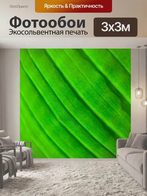 Фотообои Деталь листьев пальмы