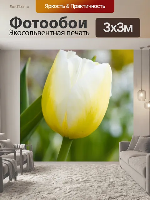 Фотообои Желтый цветок Тюльпан