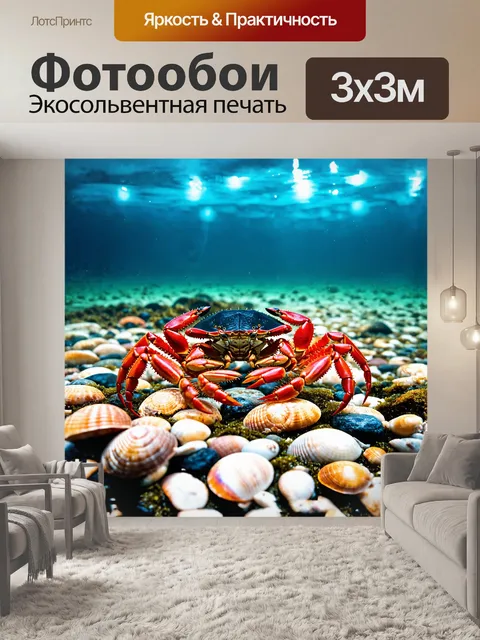 Фотообои громоздкие крабы, красно-черного цвета, сверкают под ярким солнечным светом, когда их размещают на морских…