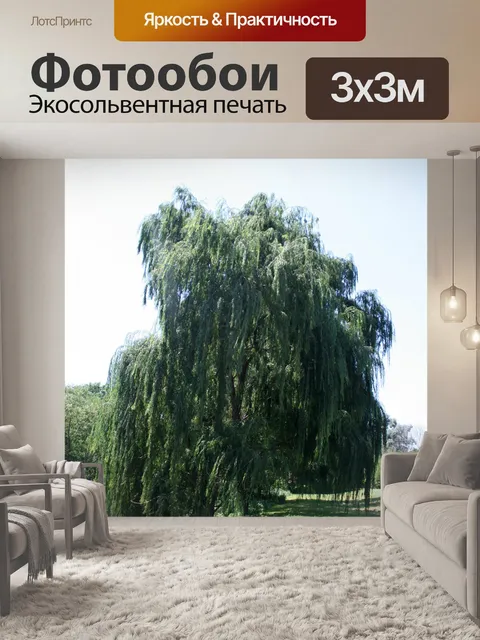 Фотообои ива на берегу реки