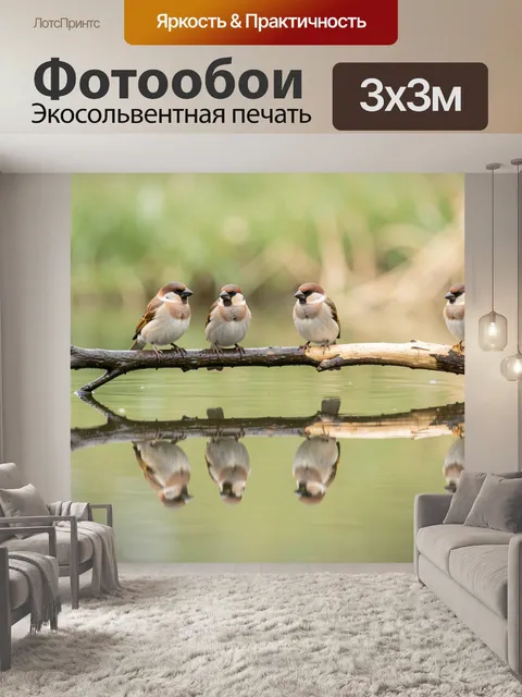 Фотообои Воробьи на ветке у воды