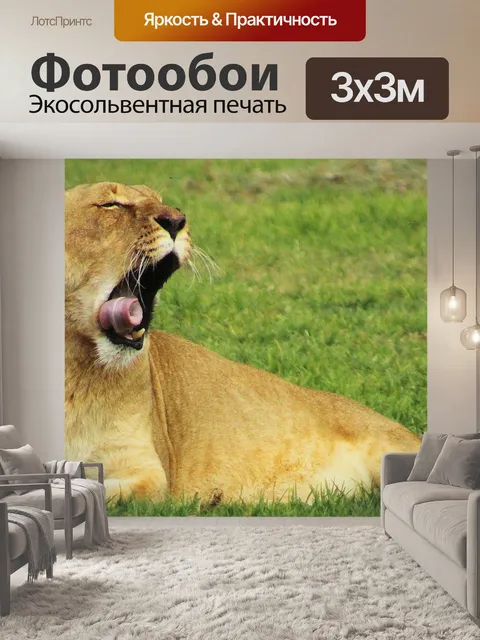 Фотообои Львица