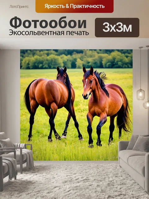 Фотообои лошади, резвящиеся в смешанном луге, где разные породы встречаются друг с другом