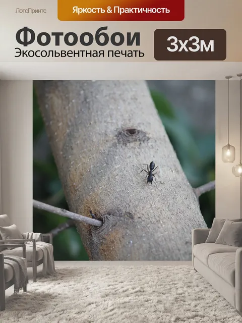 Фотообои Муравей