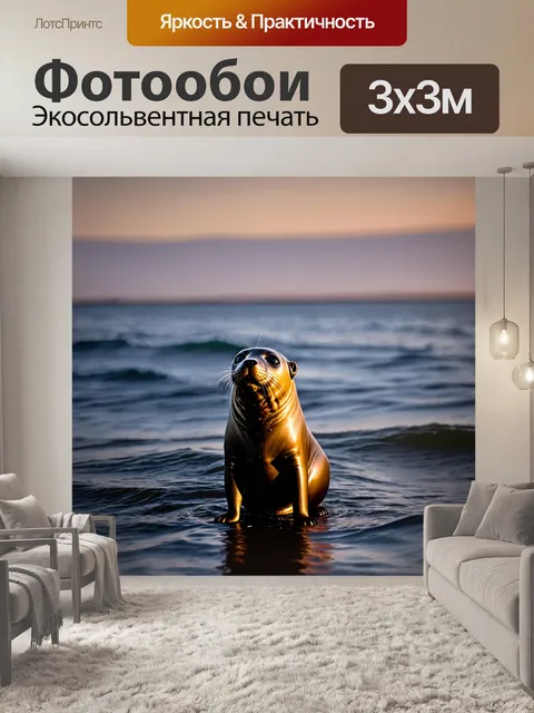 Фотообои тюлень, красиво позирующий на фоне океанского пейзажа, его гладкая кожа отражает цвета заката