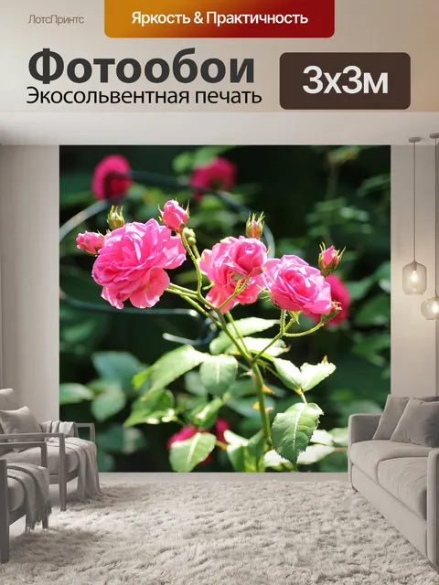 Фотообои Роуз