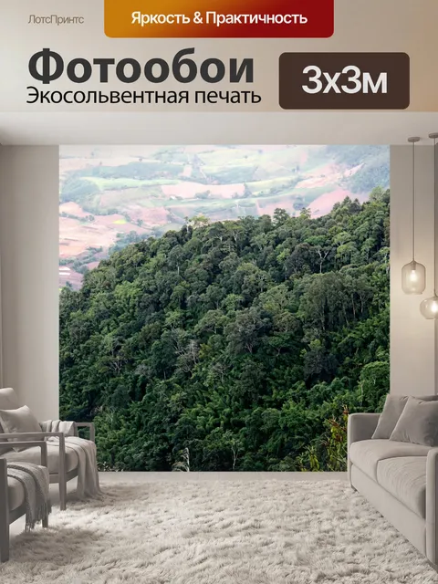 Фотообои Природа горы Фу Руа, Фу Руа