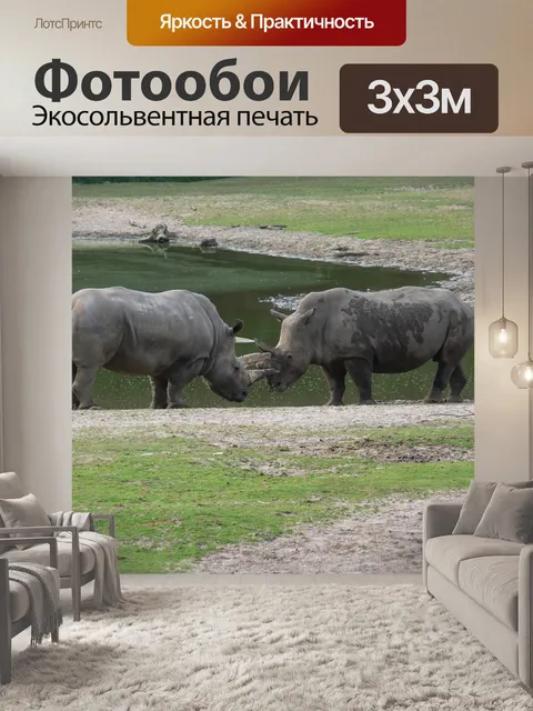 Фотообои Носорог