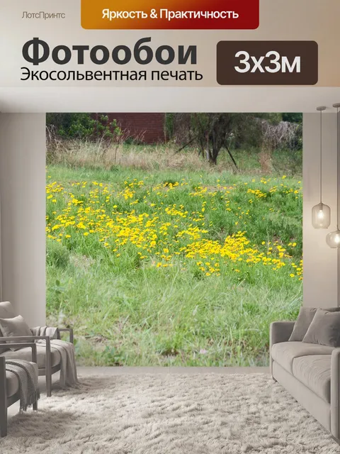 Фотообои Дикие желтые цветы