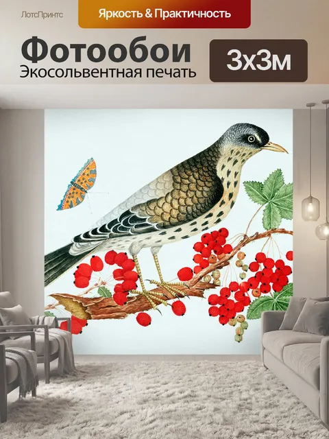 Фотообои Птицы цветы бабочки винтаж