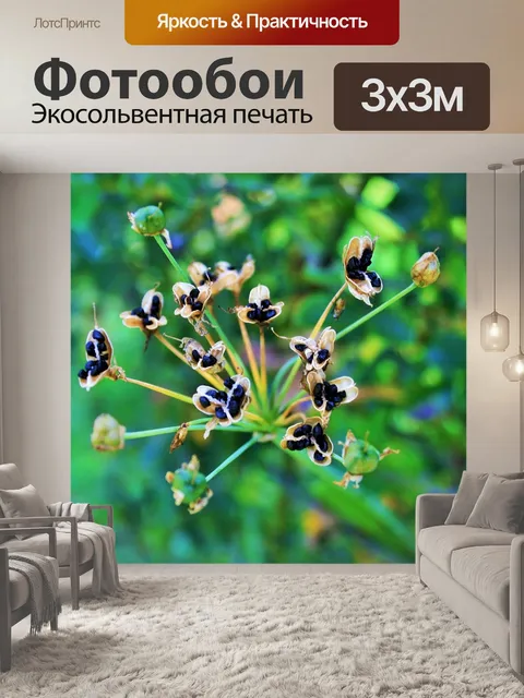Фотообои Черные семена