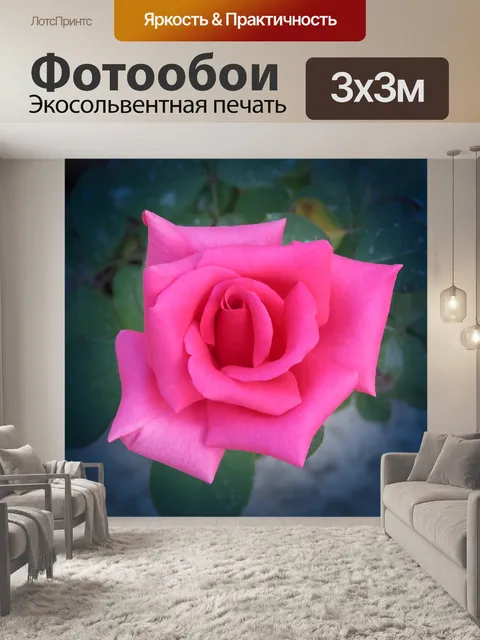 Фотообои Розовый