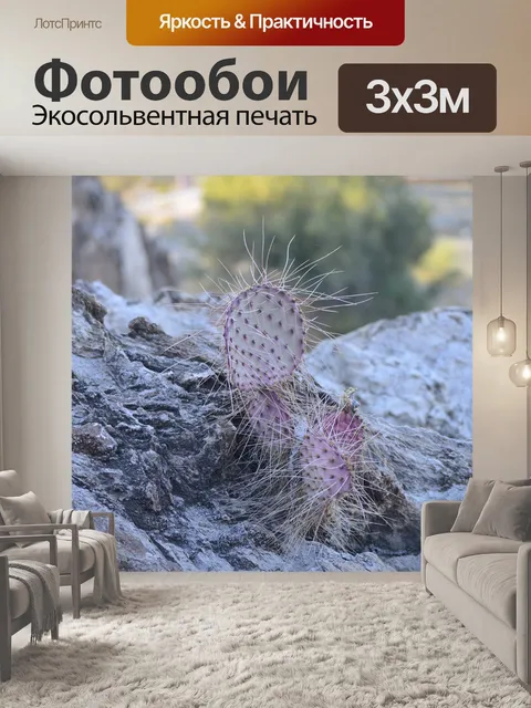 Фотообои Фиолетовый нопал