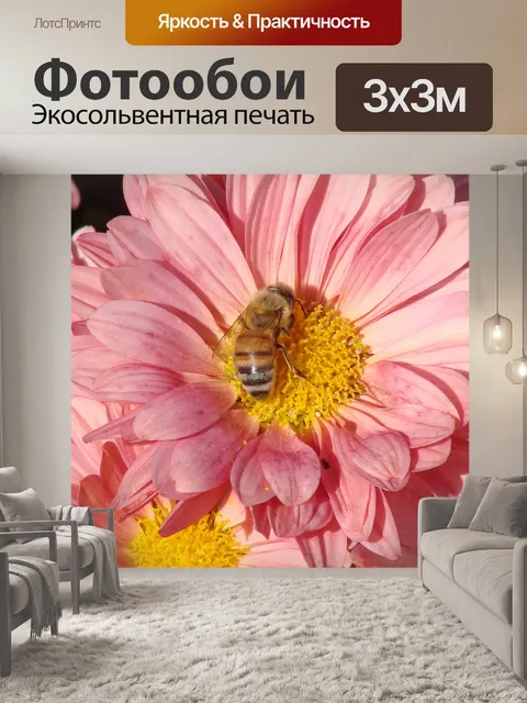 Фотообои Пчела и цветок