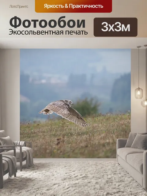 Фотообои Птица