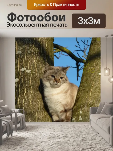 Фотообои Кошка