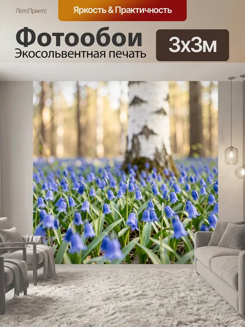 Фотообои Синее цветение в берёзовом лесу