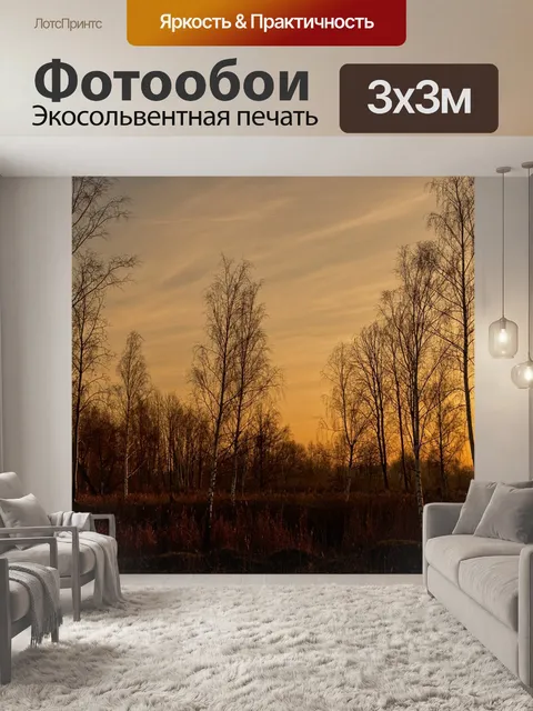 Фотообои Березы