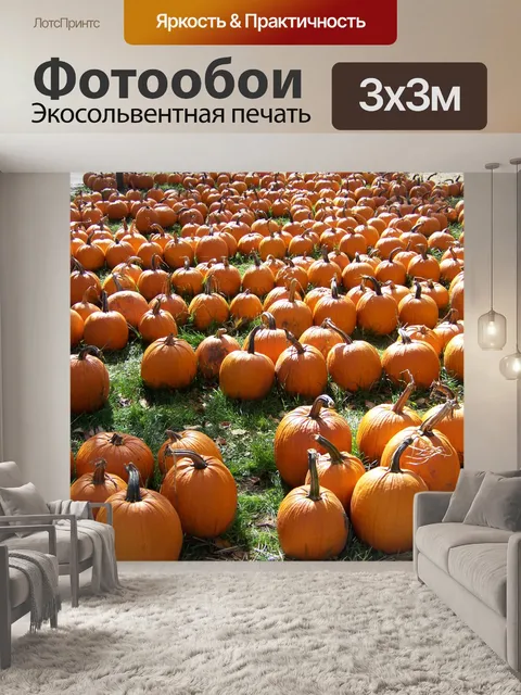 Фотообои Тыквы на продажу