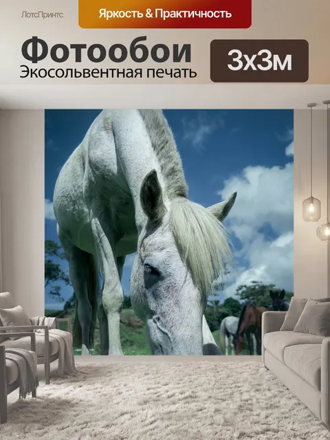 Фотообои Белая лошадь