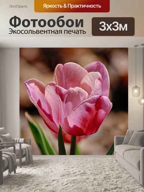 Фотообои Тюльпан