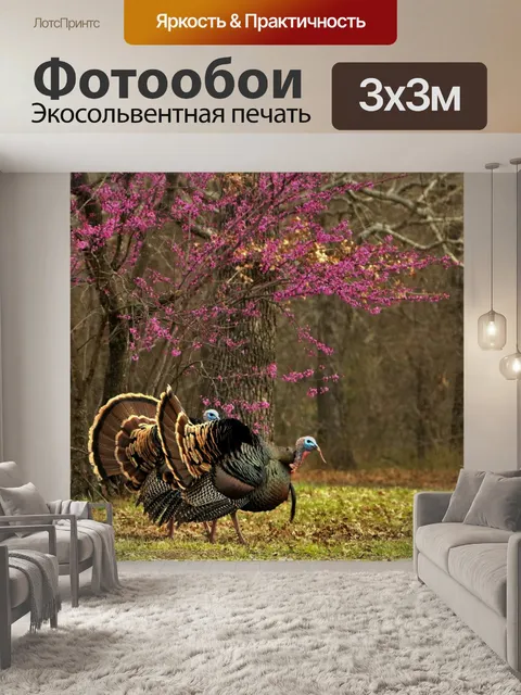 Фотообои Два Тома Турции и Дерева Редбуда