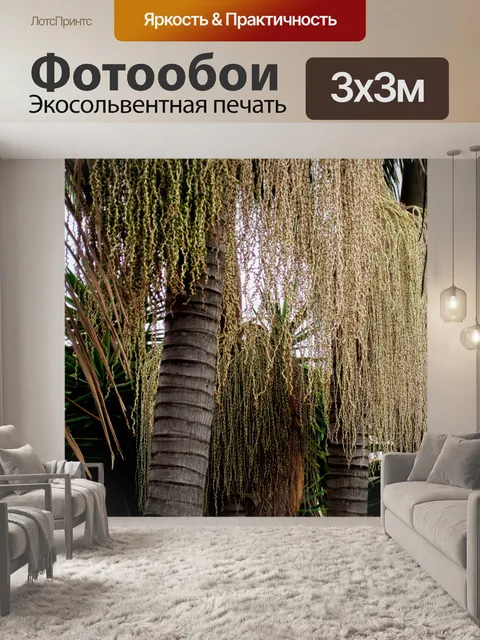 Фотообои сухие пальмовые листья