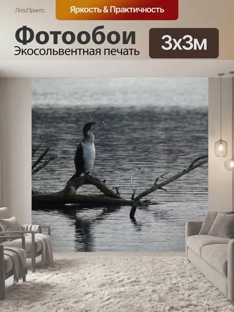 Фотообои Птица
