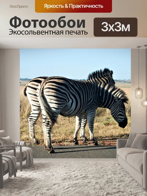 Фотообои две зебры на дороге