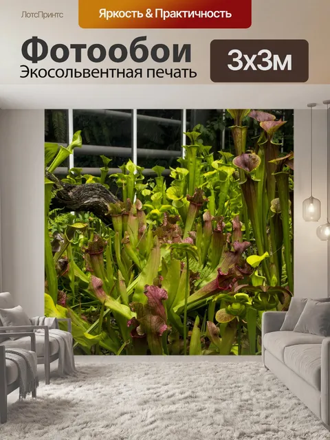 Фотообои Сад