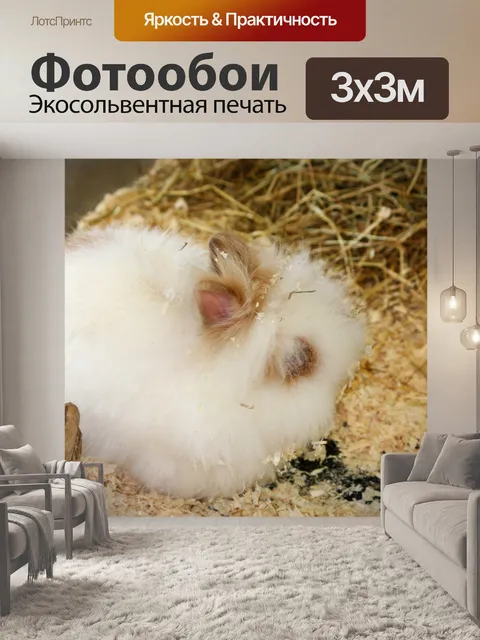 Фотообои Белый Ангора Кролик