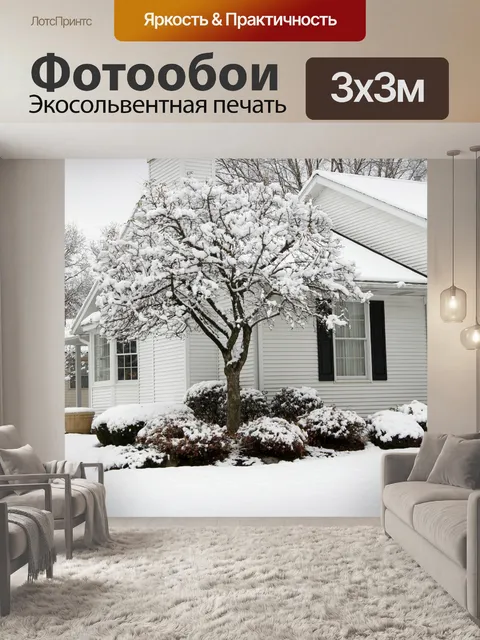 Фотообои Дом в зимний период
